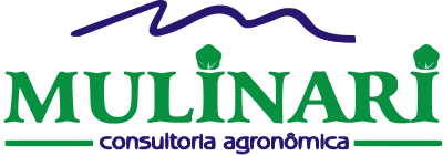 Mulinari Consultoria